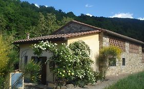 Il Cielo Bio - Il più piccolo B&B del Chianti