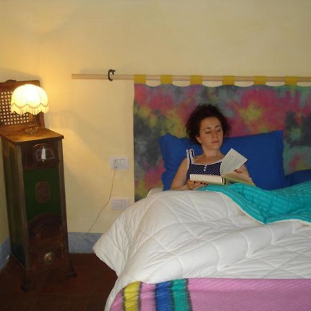 Il Cielo Bio - Il più piccolo B&B del Chianti Greve in Chianti Esterno foto