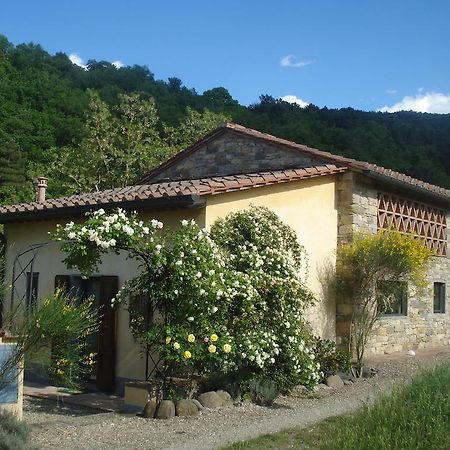 Il Cielo Bio - Il più piccolo B&B del Chianti Greve in Chianti Esterno foto