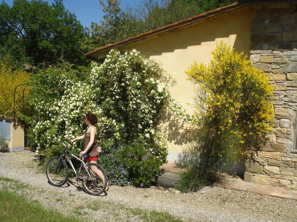 Il Cielo Bio - Il più piccolo B&B del Chianti Greve in Chianti Esterno foto