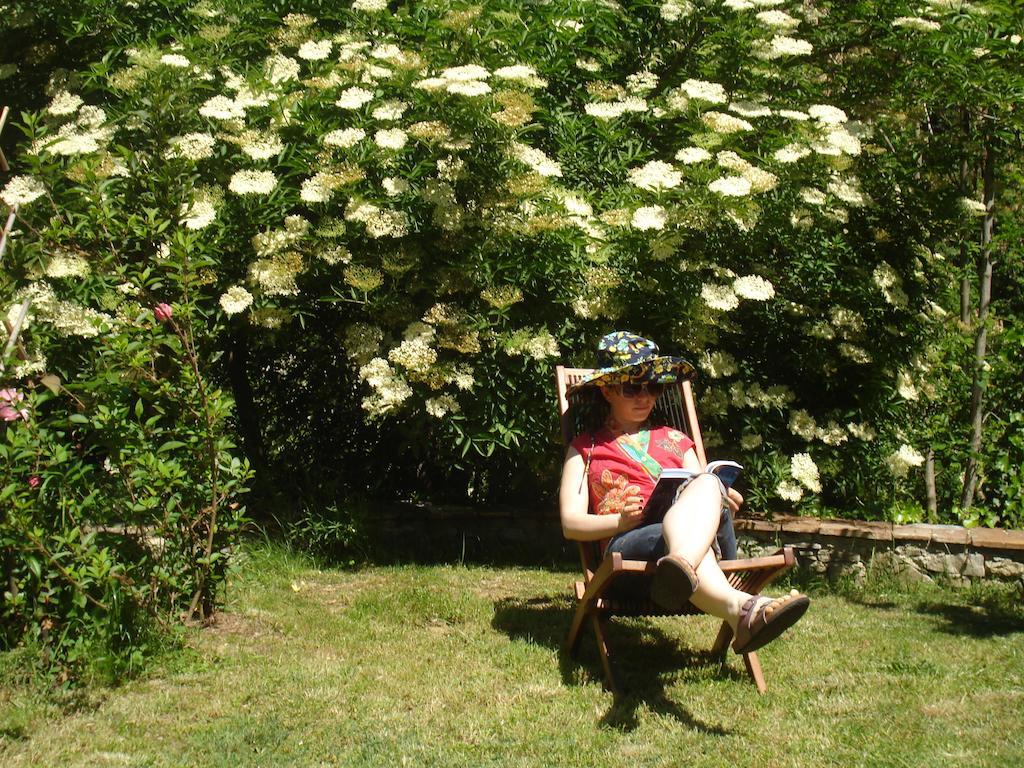 Il Cielo Bio - Il più piccolo B&B del Chianti Greve in Chianti Esterno foto