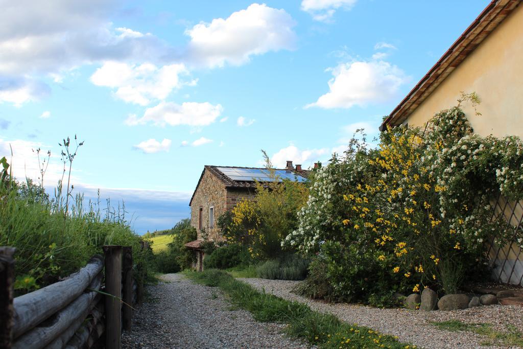 Il Cielo Bio - Il più piccolo B&B del Chianti Greve in Chianti Esterno foto